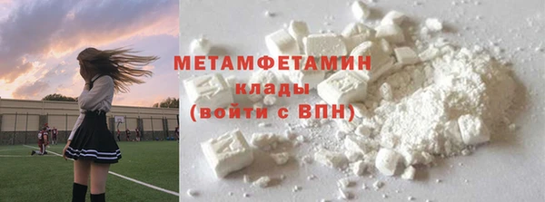 прущие грибы Белокуриха