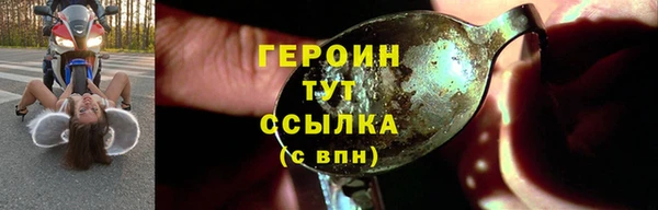 прущие грибы Белокуриха