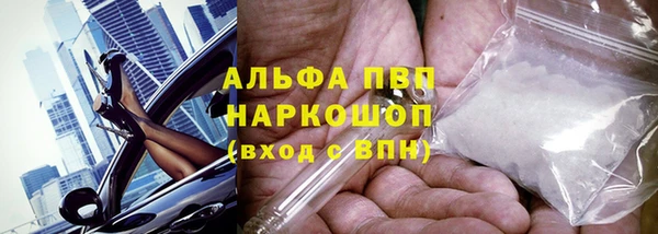 прущие грибы Белокуриха