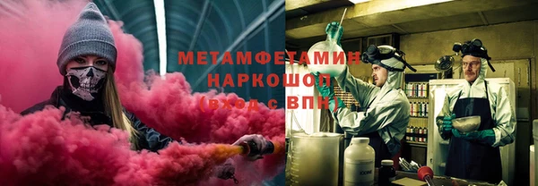 прущие грибы Белокуриха